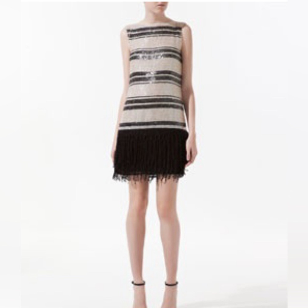 Zara Sequined Sleeveless Dress with Fringe